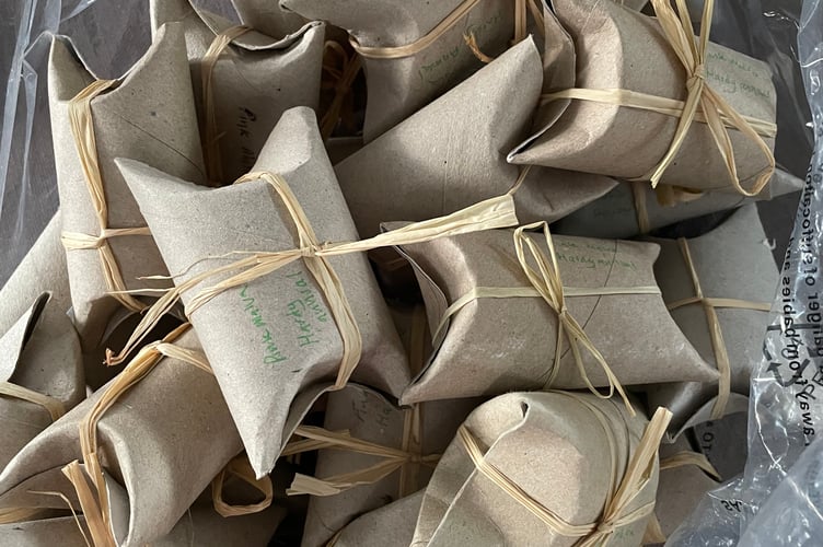 Midsomer Diaries Garden gives  her top tips for seed swapping success