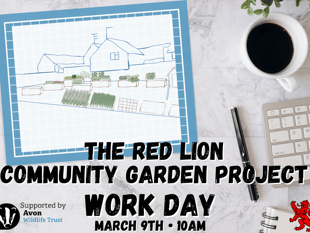 Paulton community project