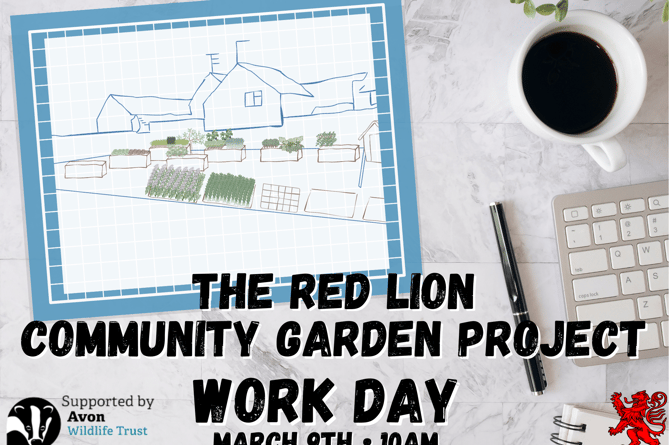 The Red Lion Paulton Community Garden Project