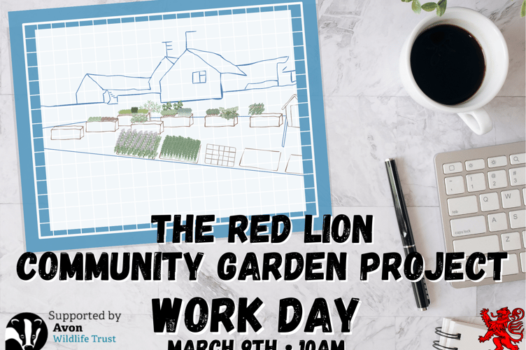 The Red Lion Paulton Community Garden Project