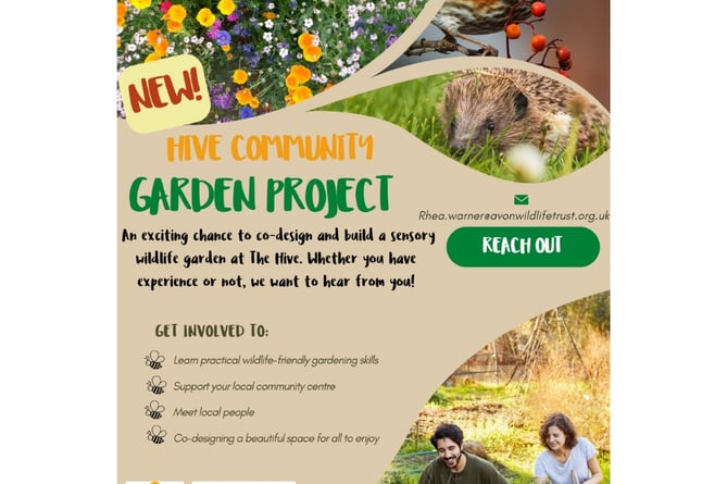 Avon Wildlife Trust Community Garden Project The Hive Peasedown