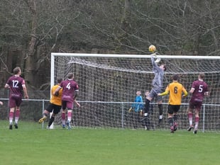 Paulton Rovers lose out to Bashley