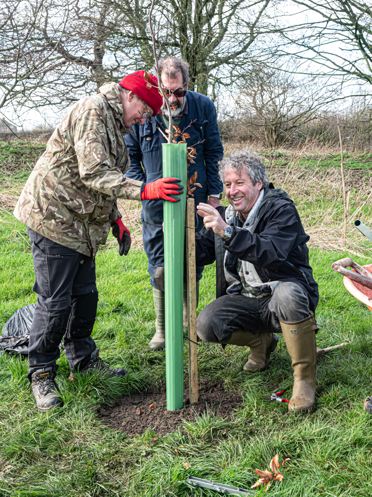 Faulkland  Wilding Project well underway