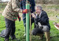 Faulkland  Wilding Project well underway
