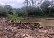 Frys Bottom Wood, Clutton is subject to "ecological vandalism", say locals