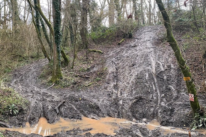 Recent photographs from Frys Bottom Wood show the "ecological vandalism".