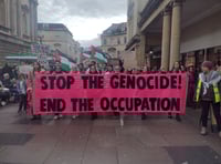 Greens demand why 'peace motion' on a Gaza ceasefire was blocked