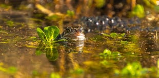 £25 million funding given to nature projects across the country