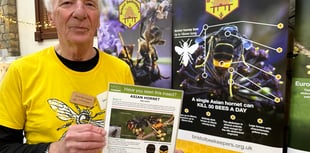 Seed Swap sweeps in the Spring