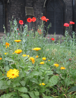 Kilmersdon Gardeners