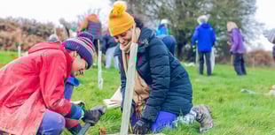 Record breaking number of trees planted by local charity