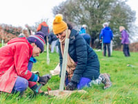 Record breaking number of trees planted by local charity
