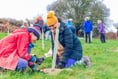 Record breaking number of trees planted by local charity