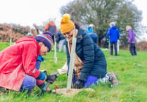 Record breaking number of trees planted by local charity Avon Needs Trees