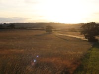 Heal Rewilding launches Into The Light, a two-day rewilding gathering
