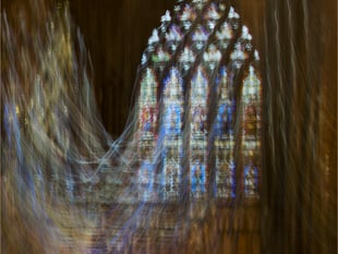 NRPS experiment with camera movement in Wells
