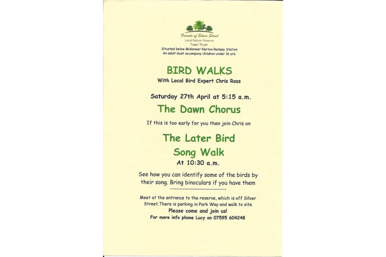 bird walk