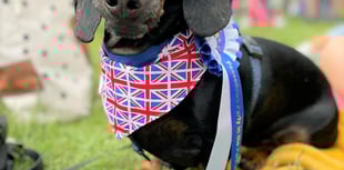 Peasedown Dog Show to return this year at Party in the Park festival
