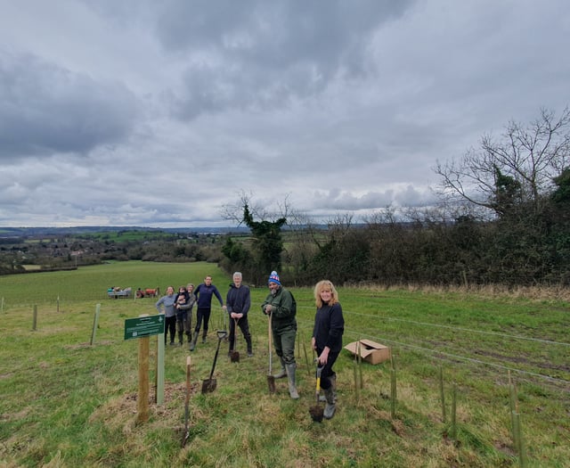 Hedges in the Chew Valley