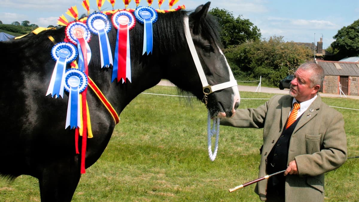 Royal Bath and West Show kicks off at the end of May | mnrjournal.co.uk