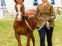 Excitement building ahead of Royal Bath & West Show