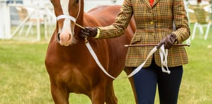 Excitement building ahead of Royal Bath & West Show