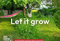 Bath and North East Somerset Council back 'No Mow May' movement