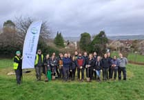 Curo plants almost 1,000 trees to support wildlife and provide community green spaces