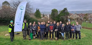 Curo plants almost 1,000 trees 