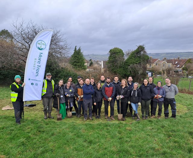 Curo plants almost 1,000 trees 