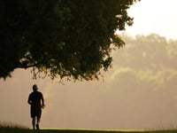 Adults in North Somerset have above average levels of physical activity