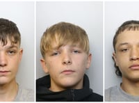Mikey Roynon killers jailed