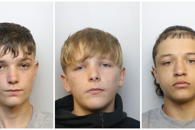 Mikey Roynon killers jailed