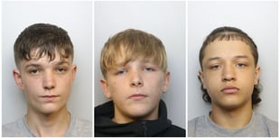 Mikey Roynon killers jailed