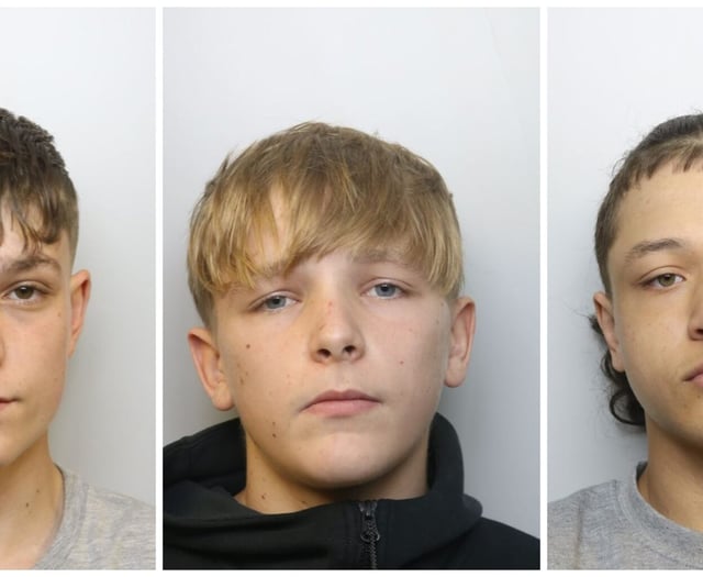 Mikey Roynon killers jailed