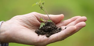 Mendip Gardening Club: Mendip gardeners are going batty!