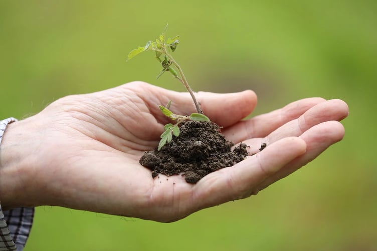 Spruce up your garden this spring