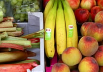 Adults in Bath and North East Somerset eating less fruit and vegetables