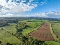 Avon Needs Trees purchases 422 acres for 'landmark' Lower Chew Forest