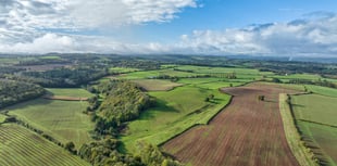 Avon Needs Trees purchases 422 acres for 'landmark' Lower Chew Forest
