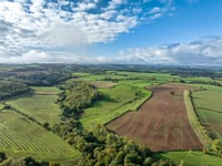 Avon Needs Trees purchases 422 acres for 'landmark' Lower Chew Forest