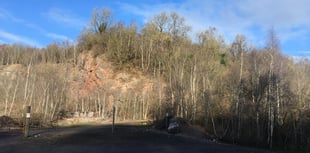 Campaigners secure future of historic woodland 
