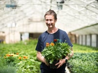 Bloomin’ marvellous council gardener applauded for 43 years of service