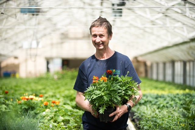 Bloomin’ marvellous council gardener applauded for 43 years of service