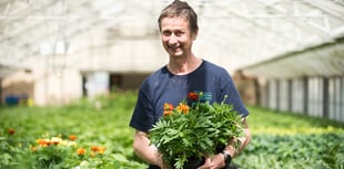 Bloomin’ marvellous council gardener applauded for 43 years of service