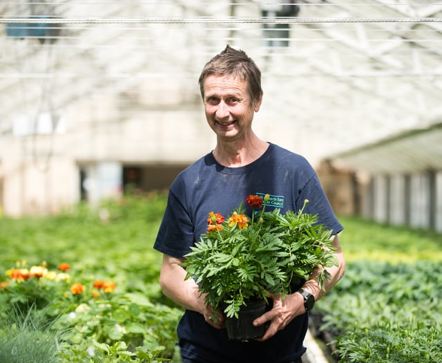 Bloomin’ marvellous council gardener applauded for 43 years of service