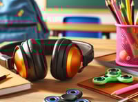 B&NES Youth Forum campaigns for accessible mainstream schools
