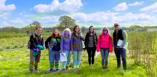 Nature project receives £166K to 'regenerate' Somerset countryside