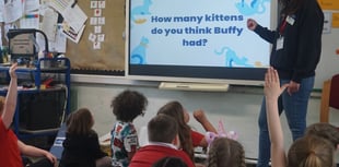 Bath Cats and Dogs Home launches pet care workshops for primary pupils