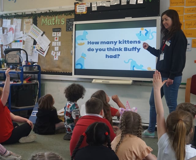 Bath Cats and Dogs Home launches pet care workshops for primary pupils